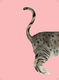 Heads & Tails: A Cat Memory Game