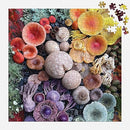 Shrooms in Bloom 500 Piece Puzzle