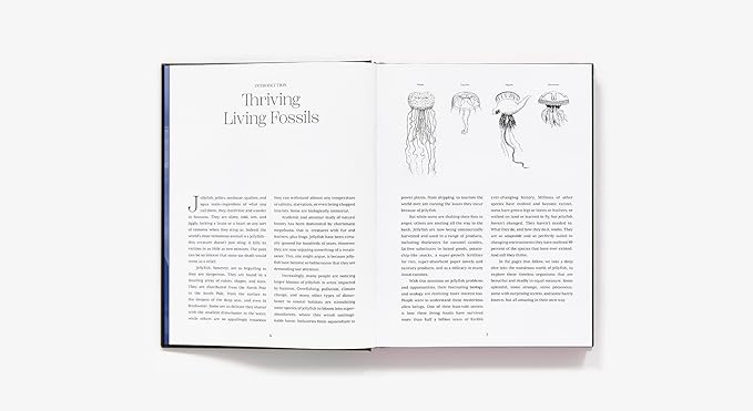 Shapeshifters: The Wondrous World of Jellyfish