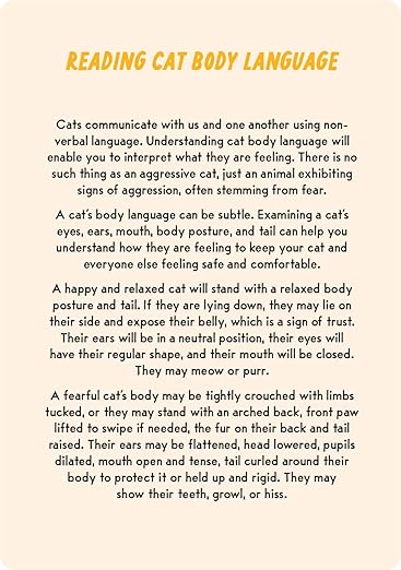 Coaching Cards for New Cat Parents