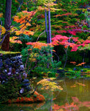 Earthly Utopias: Sacred Gardens of the World