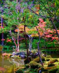 Earthly Utopias: Sacred Gardens of the World