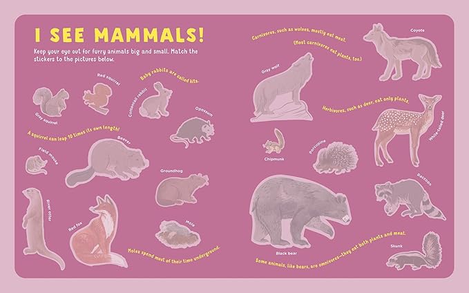 Backpack Explorer Stickers: Nature Adventure: 300 Stickers plus Play & Learn Activities