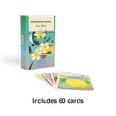 Aromatherapist in a Box: A Card Set of Therapeutic Essential Oils