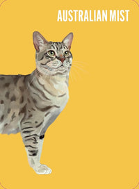 Heads & Tails: A Cat Memory Game