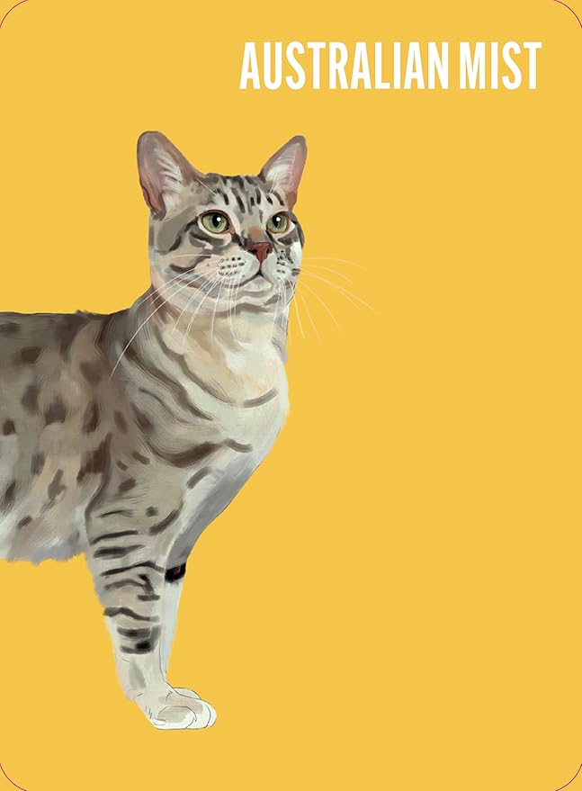 Heads & Tails: A Cat Memory Game