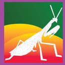 Paint by Sticker Kids: Beautiful Bugs: Create 10 Pictures One Sticker at a Time!