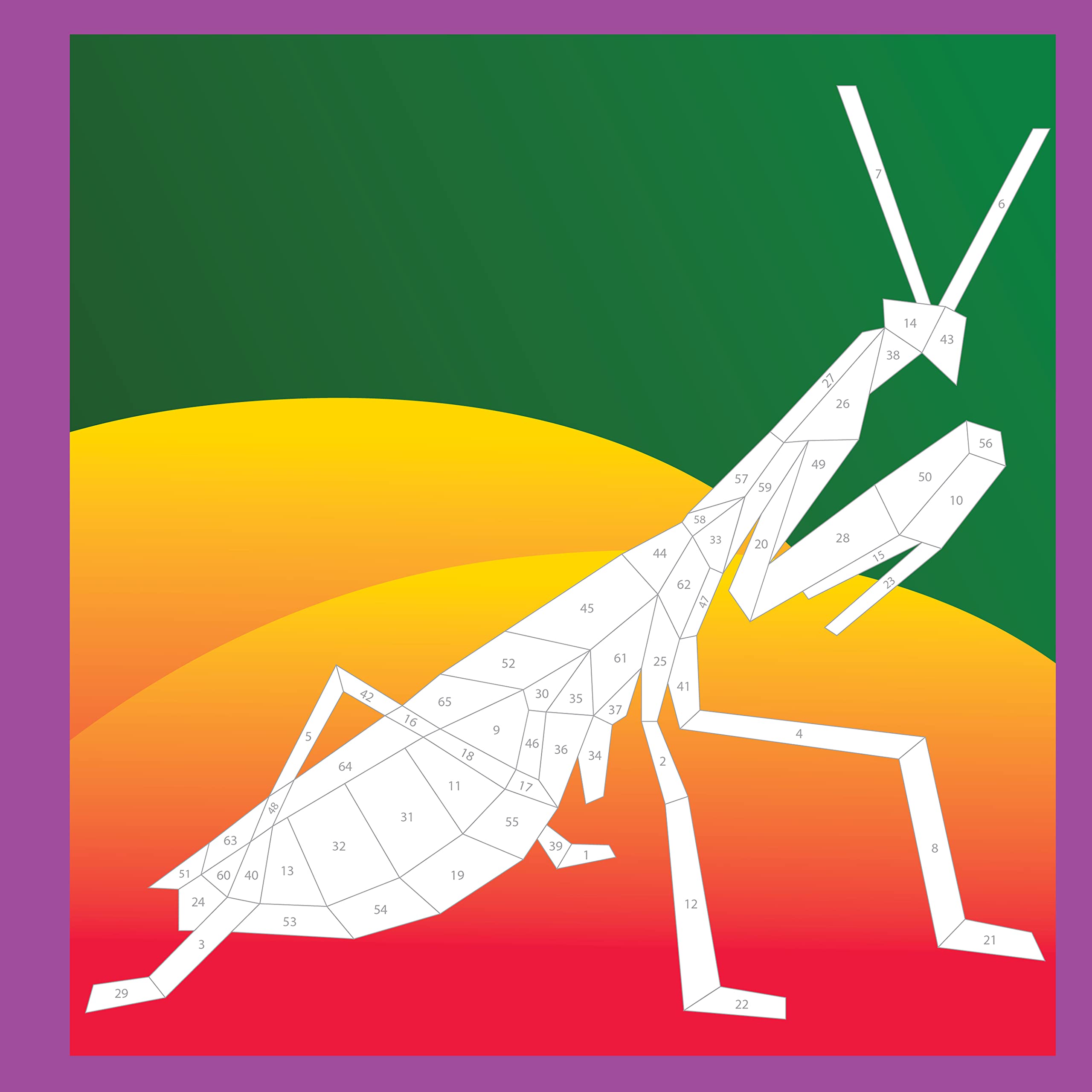 Paint by Sticker Kids: Beautiful Bugs: Create 10 Pictures One Sticker at a Time!