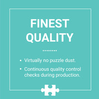 Ideal Bookshelf 1000 Piece Puzzle