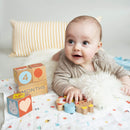 Baby Milestone Blocks Photo Props for Months, Weeks, Years