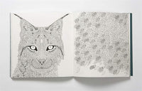 Nordic Wilderness: A Colouring Book