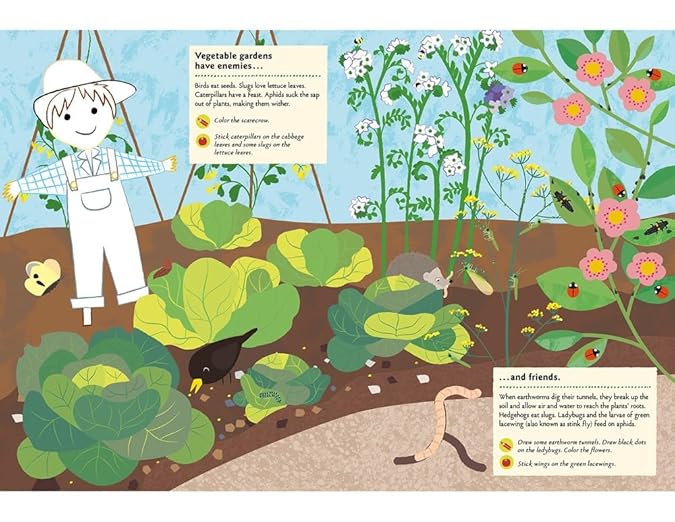 In the Vegetable Garden: My Nature Sticker Activity Book: 1 (My Nature Sticker Activity Books)
