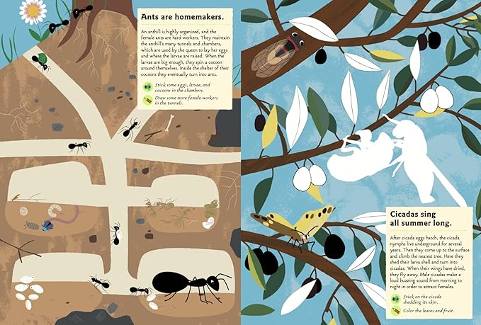 Garden Insects and Bugs: My Nature Sticker Activity Book: 1 (My Nature Sticker Activity Books)
