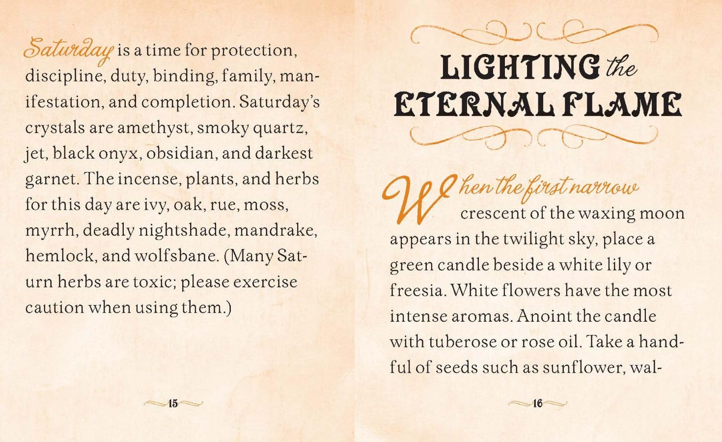 The Witches' Spell Book: For Love, Happiness, and Success