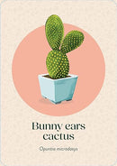 Pocket Plantcare: A handy guide to raising 50 of your best-loved indoor plants