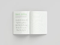 Hand Lettering and Beyond: A Beginner's Workbook for the Creative Art of Drawing Letters