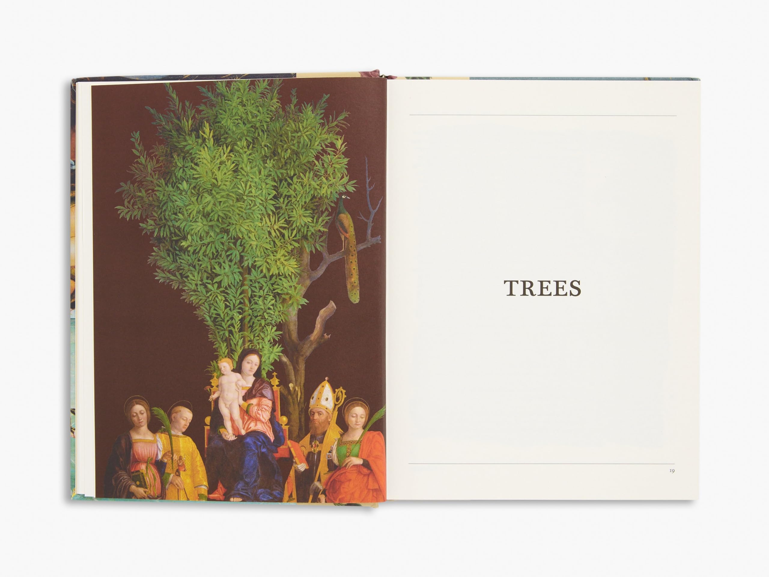 The Secret Language of Plants: Art, Nature & Symbolism