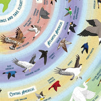 Bird Lover's 1000-Piece Jigsaw Puzzle