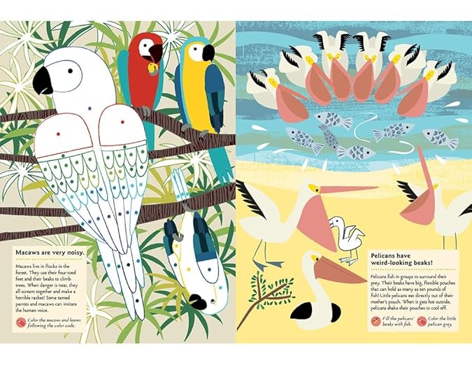 Birds of the World: My Nature Sticker Activity Book: 1