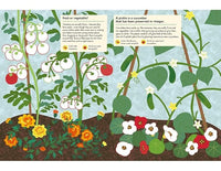 In the Vegetable Garden: My Nature Sticker Activity Book: 1 (My Nature Sticker Activity Books)