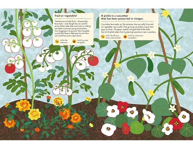 In the Vegetable Garden: My Nature Sticker Activity Book: 1 (My Nature Sticker Activity Books)