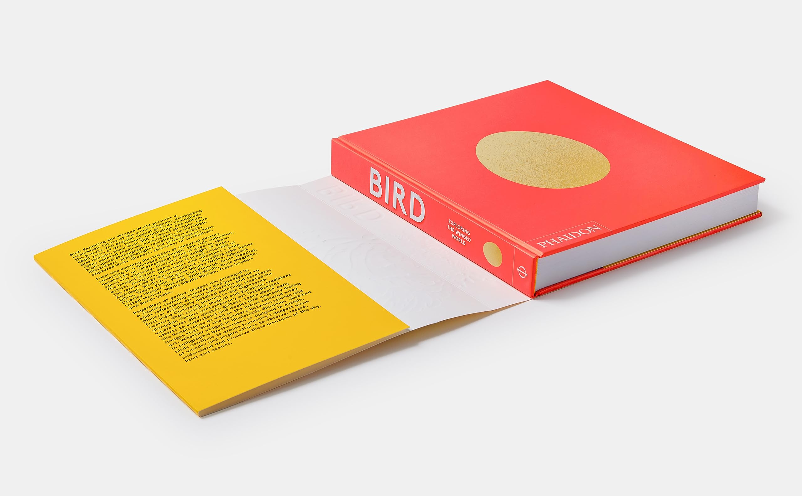 Bird: Exploring the Winged World