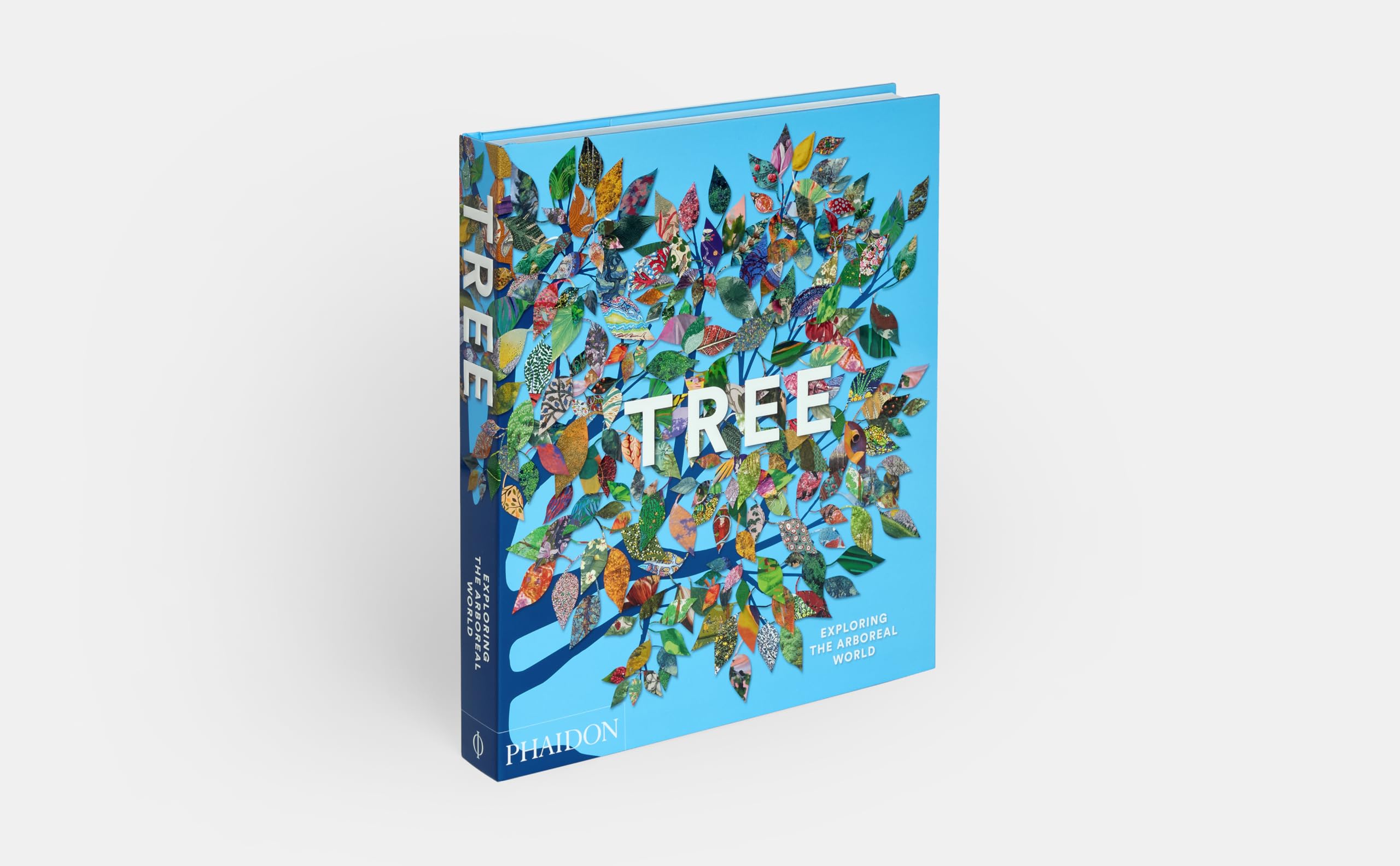 Tree: Exploring the Arboreal World