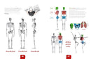 Draw Like a Mangaka: Anatomy: A Comprehensive Anatomical Reference - Master Anatomy, Figure Drawing and Poses