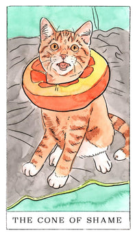 Kitten Oracle: 50 Cards & Guidebook