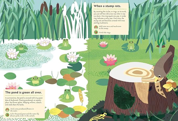 In the Forest: My Nature Sticker Activity Book: 1 (My Nature Sticker Activity Books)