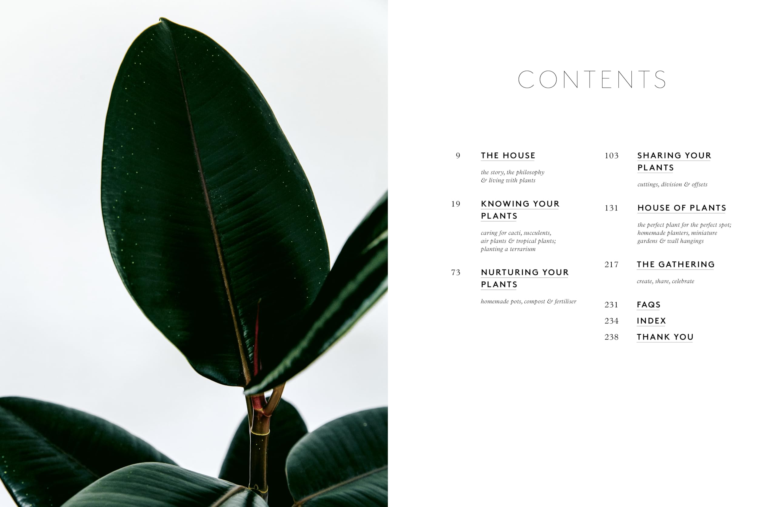 House of Plants: Living with tropical plants, succulents and cacti