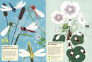 Garden Insects and Bugs: My Nature Sticker Activity Book: 1 (My Nature Sticker Activity Books)