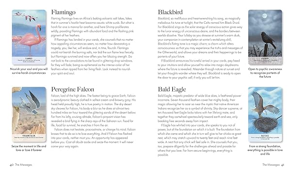 Bird Messages