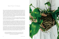 House of Plants: Living with tropical plants, succulents and cacti