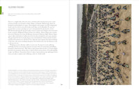 Photobox: 250 Images You Need To See