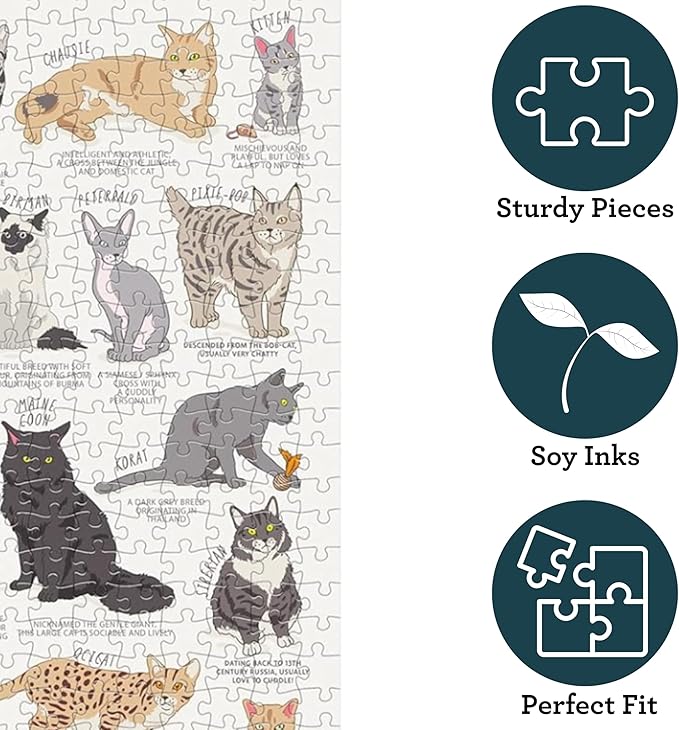 Ridley's Games JIG055 Cat Lover's 1000 Piece Jigsaw Puzzle, Multicoloured