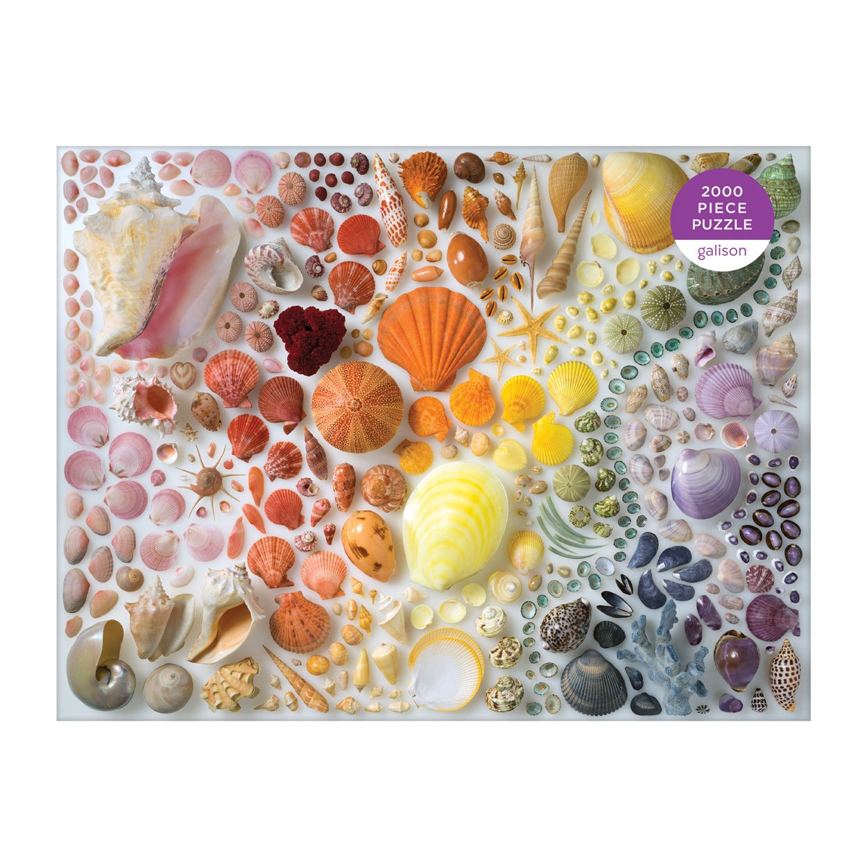 Rainbow Shells 2000 Piece Puzzle