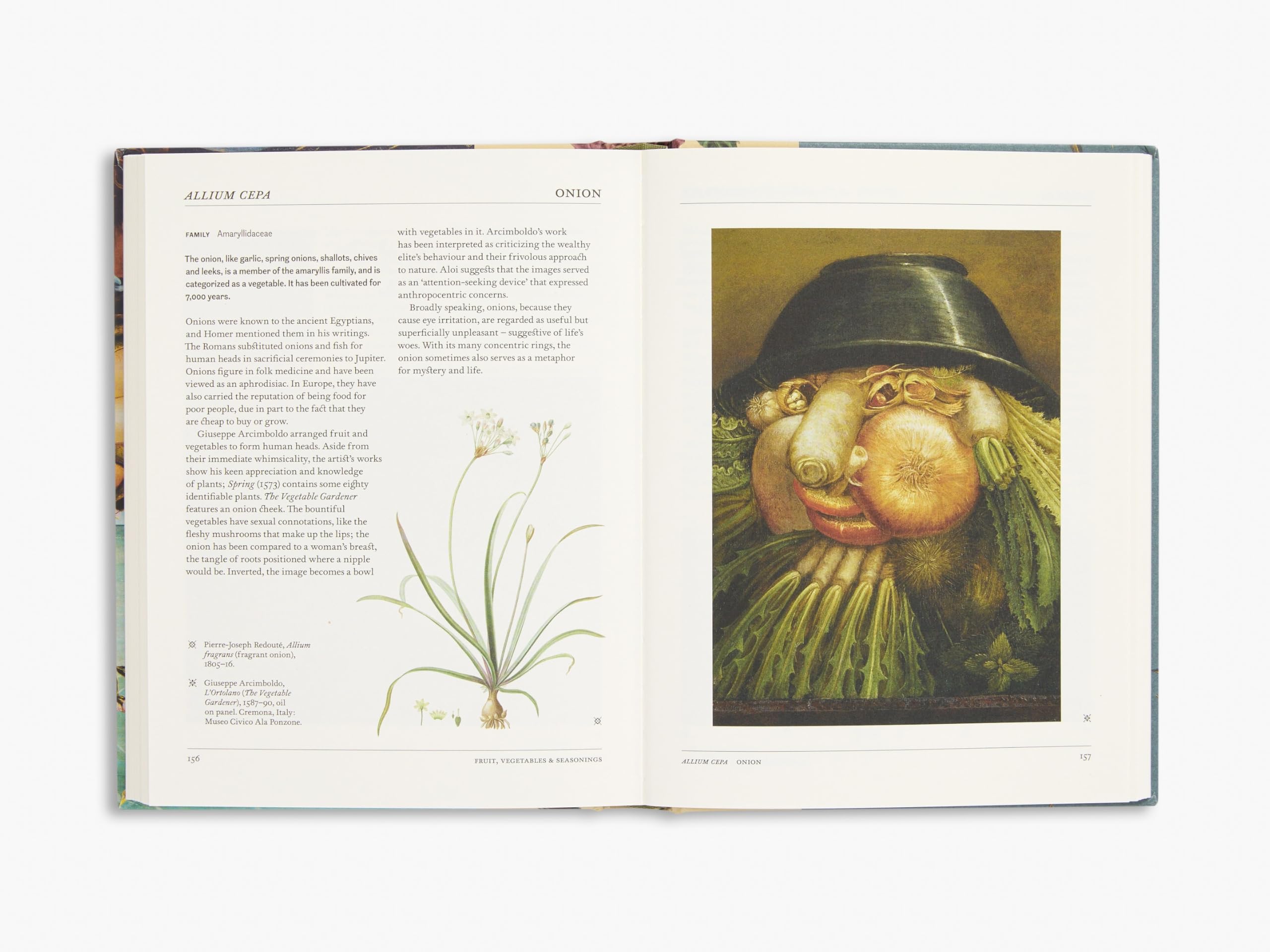 The Secret Language of Plants: Art, Nature & Symbolism