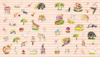 A Nature Lover's Sticker Book