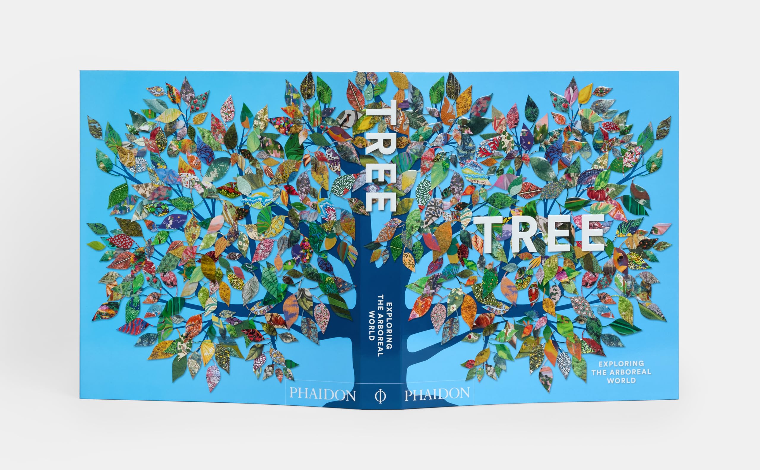 Tree: Exploring the Arboreal World