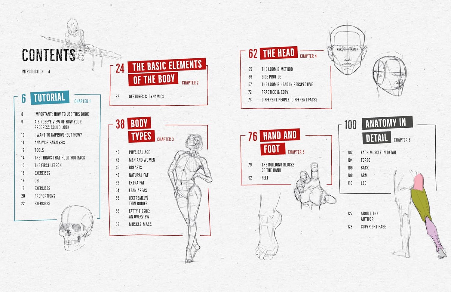 Draw Like a Mangaka: Anatomy: A Comprehensive Anatomical Reference - Master Anatomy, Figure Drawing and Poses