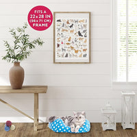 Ridley's Games JIG055 Cat Lover's 1000 Piece Jigsaw Puzzle, Multicoloured