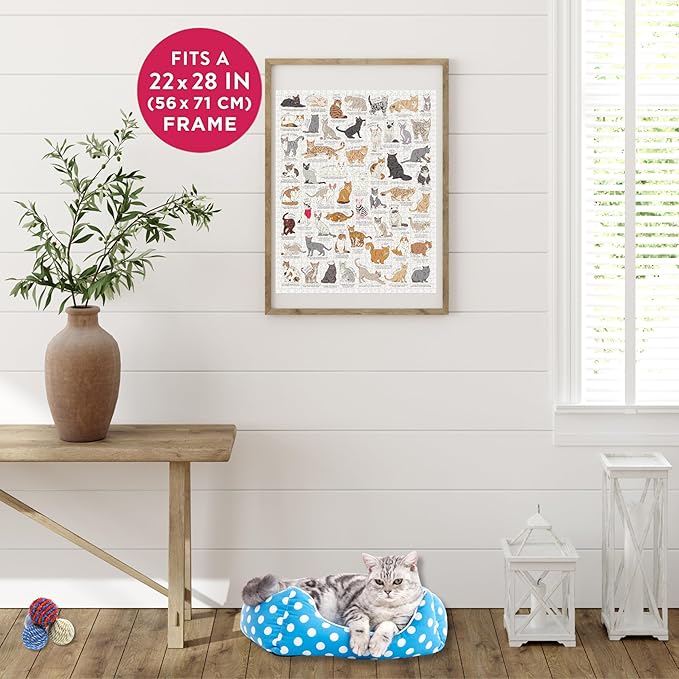 Ridley's Games JIG055 Cat Lover's 1000 Piece Jigsaw Puzzle, Multicoloured