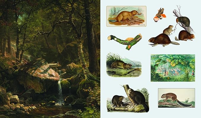 The Sticker Treasury of Woodland Adventures