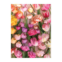 Ephemeral Tulips– 1000 Piece Jigsaw Puzzle