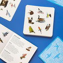 Bird Spotter: Race to be first to find the matching birds