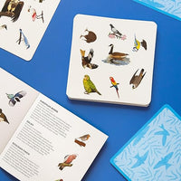 Bird Spotter: Race to be first to find the matching birds