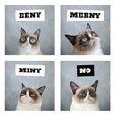 Grumpy Cat 2026 Wall Calendar