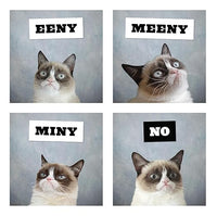 Grumpy Cat 2026 Wall Calendar