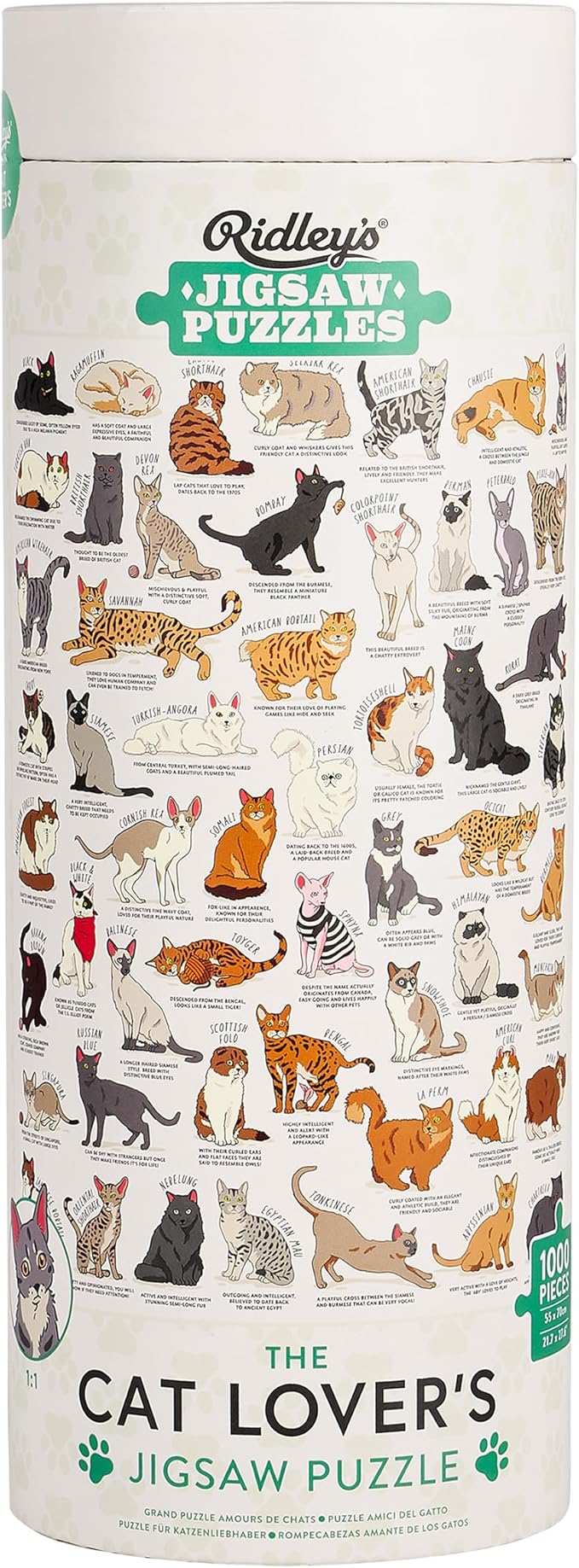 Ridley's Games JIG055 Cat Lover's 1000 Piece Jigsaw Puzzle, Multicoloured